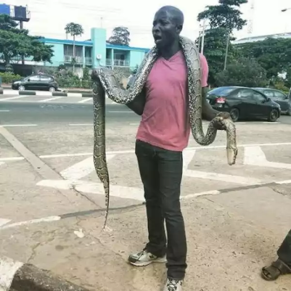 See The Huge Snake This Man Found In Maryland, Lagos [See Photo]